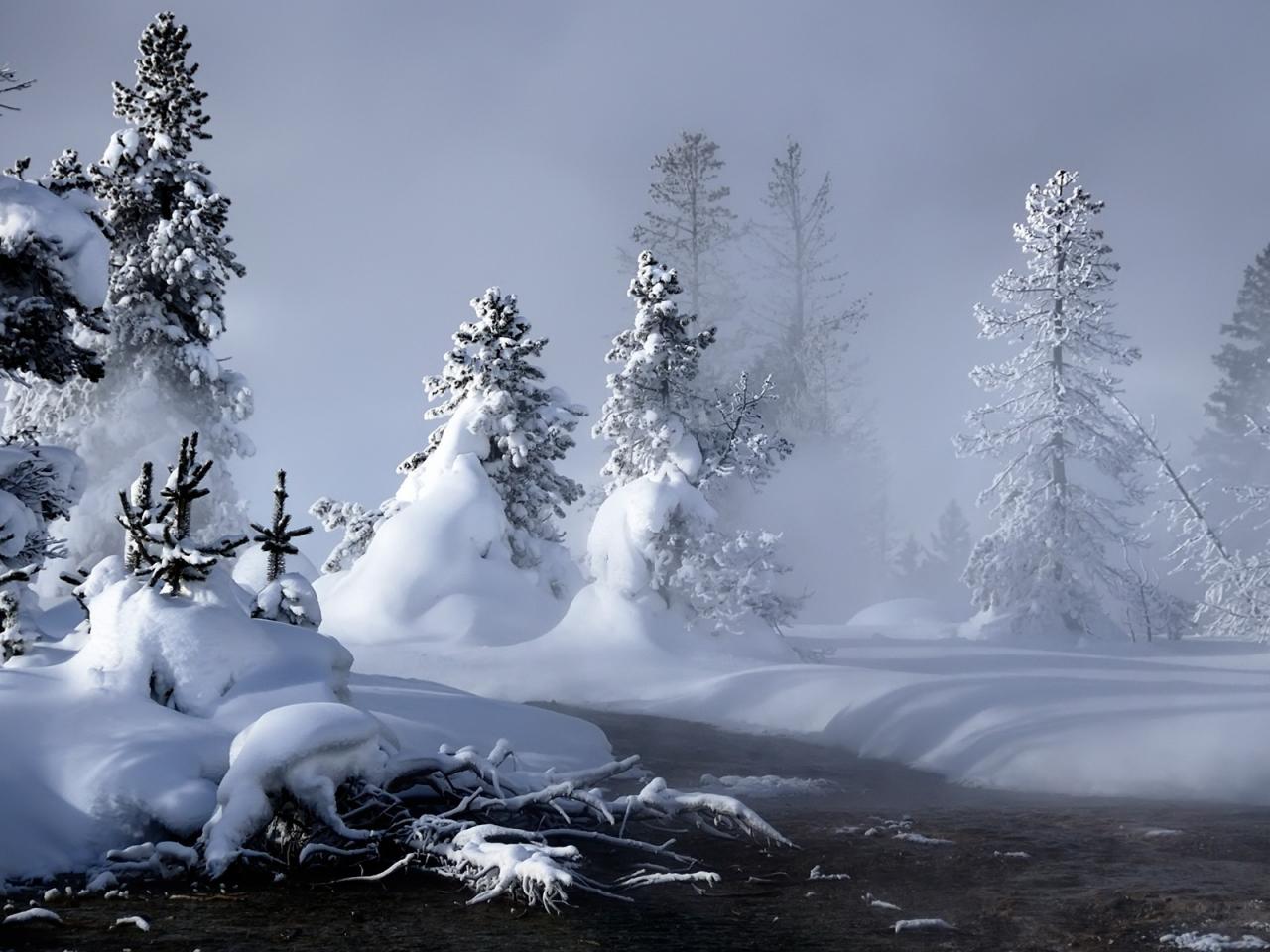 обои Туман у речки в заснеженном лесy фото