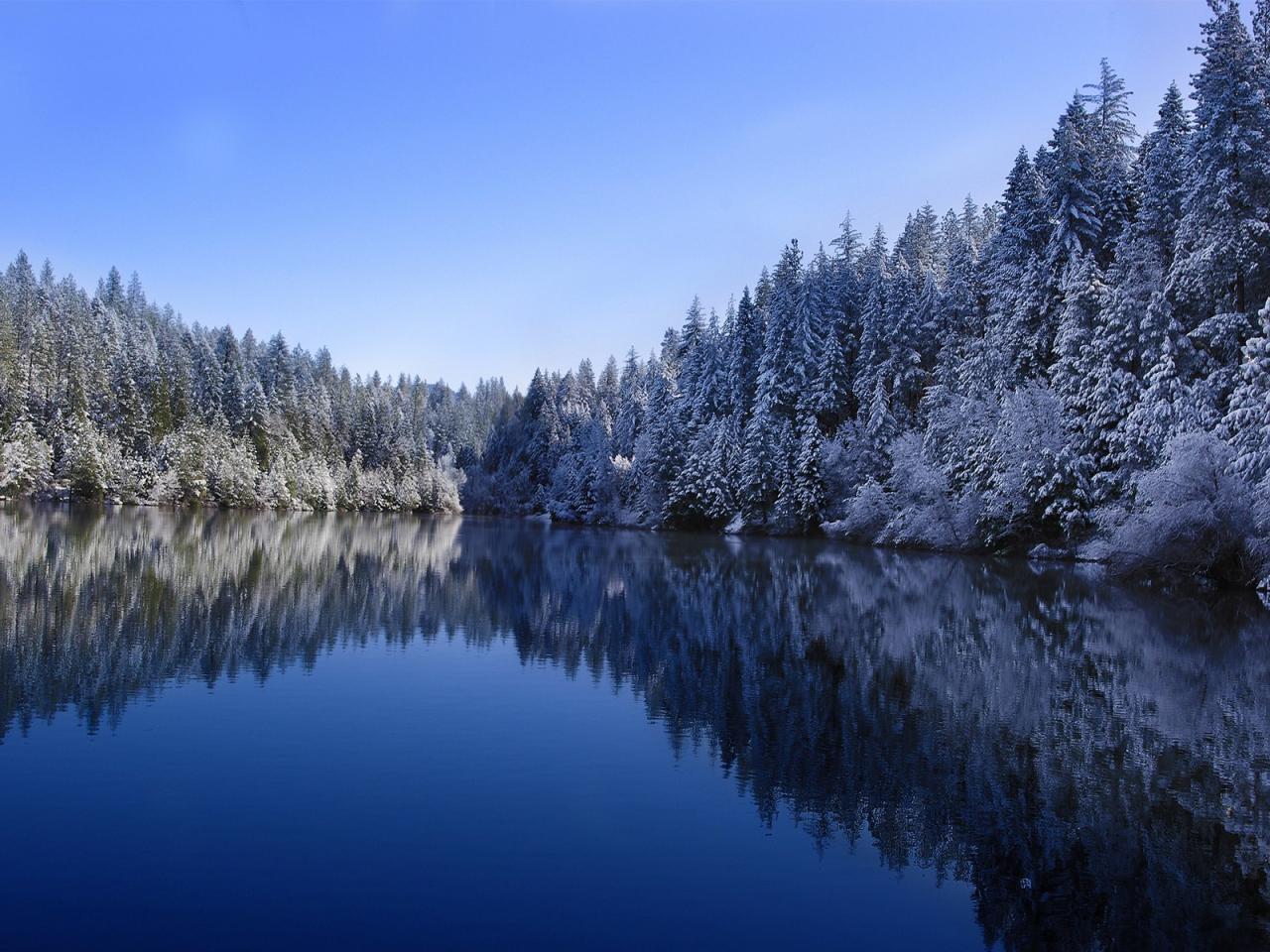 обои Припоpошенные деревья на берегу синего озера фото