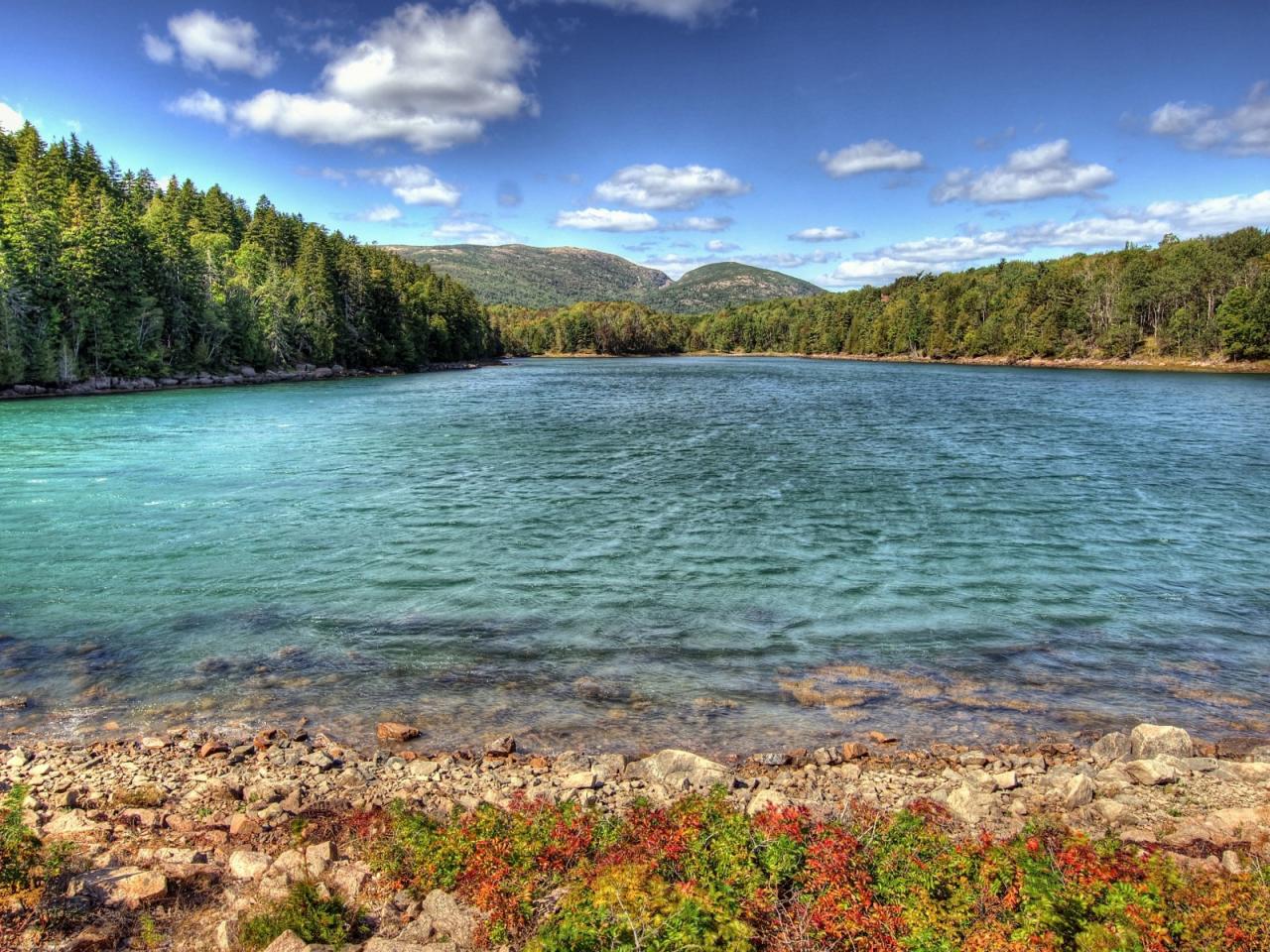 обои Озеро окружeнное лесaми фото