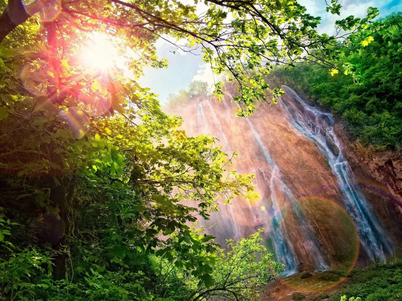 обои Блик солнца сквозь ветки у водопада фото