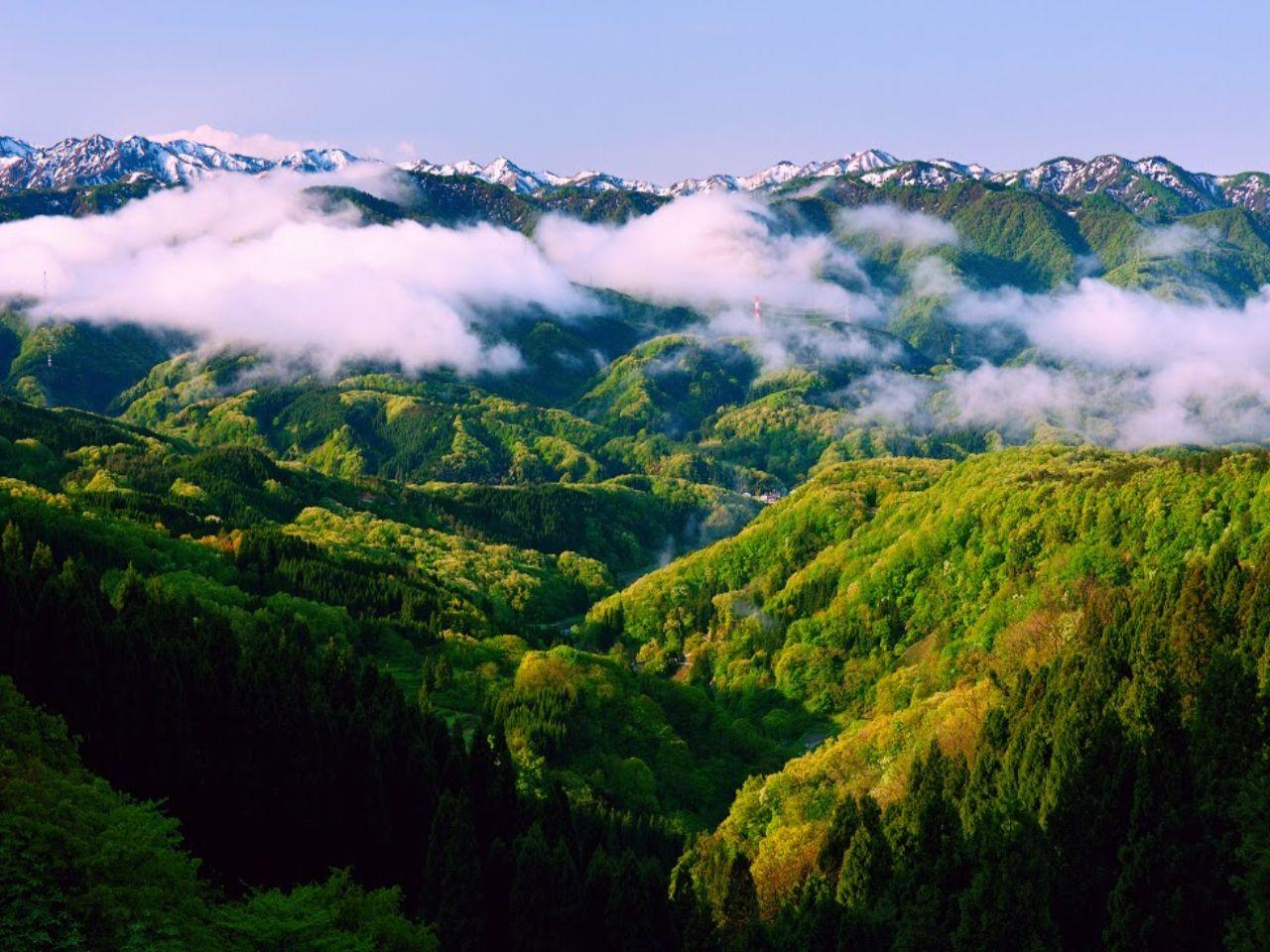 обои Леса,   туман и снег в горах фото