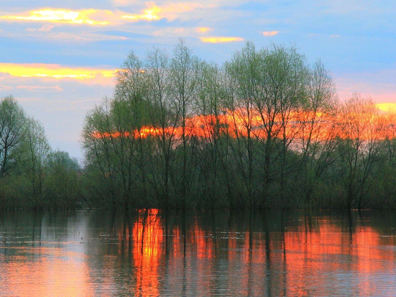 обои На весенней реке фото