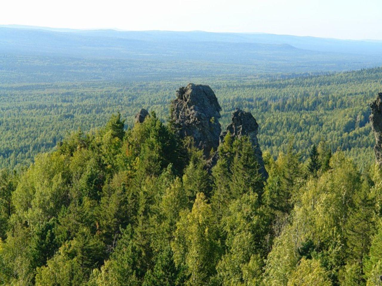 обои Уральские леса фото