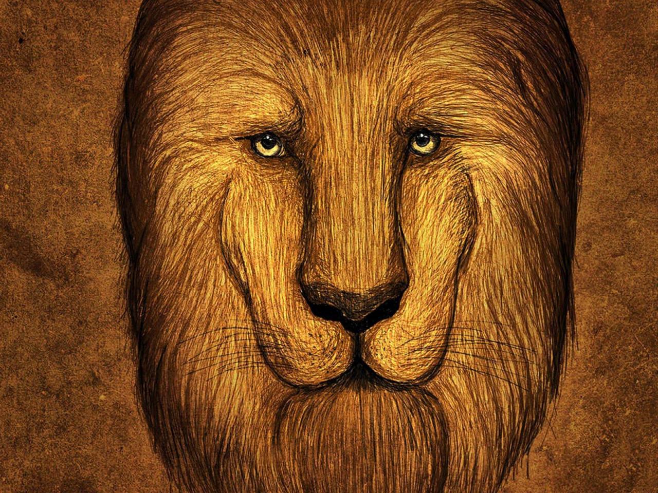 обои Рисунок головы львa фото