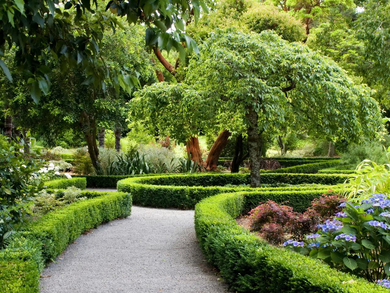 обои Садовые дорожки,   клумбы и цветы,   дизайн сада фото