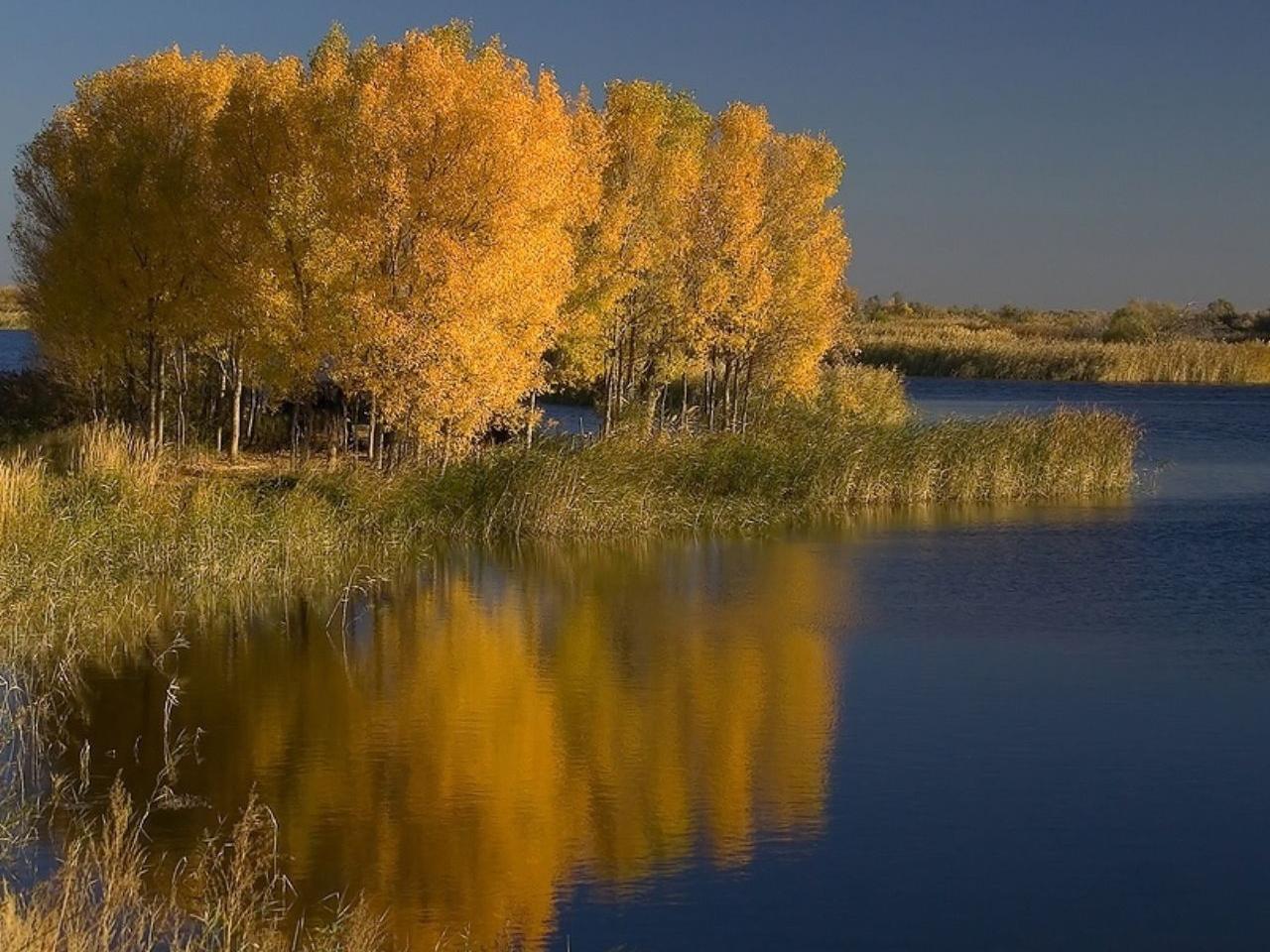 обои Осень в дельте реки Или. Казахстан фото