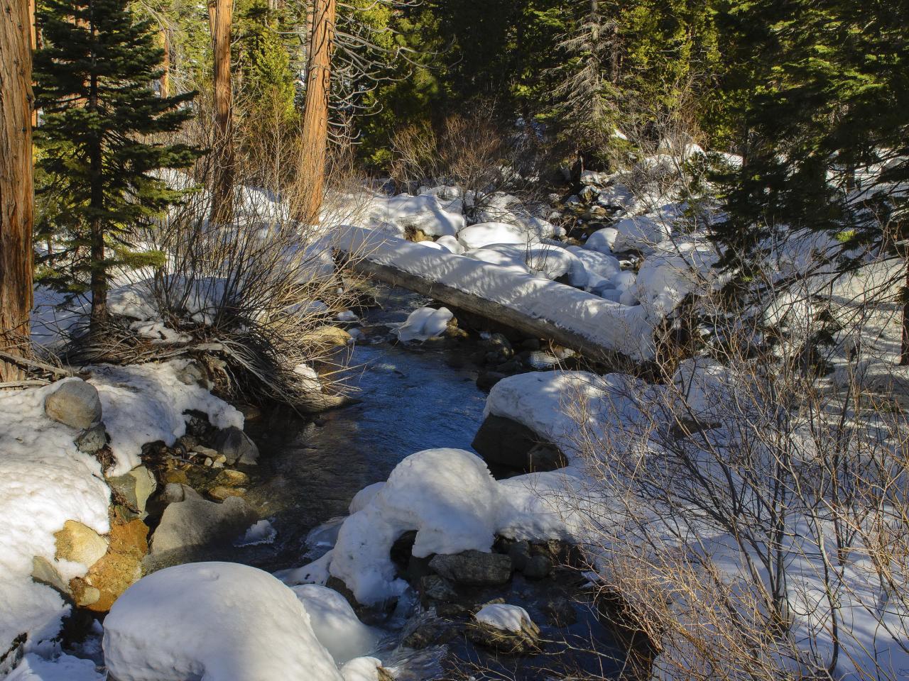 обои Ручей зимой в лесу,   солнечным днем фото