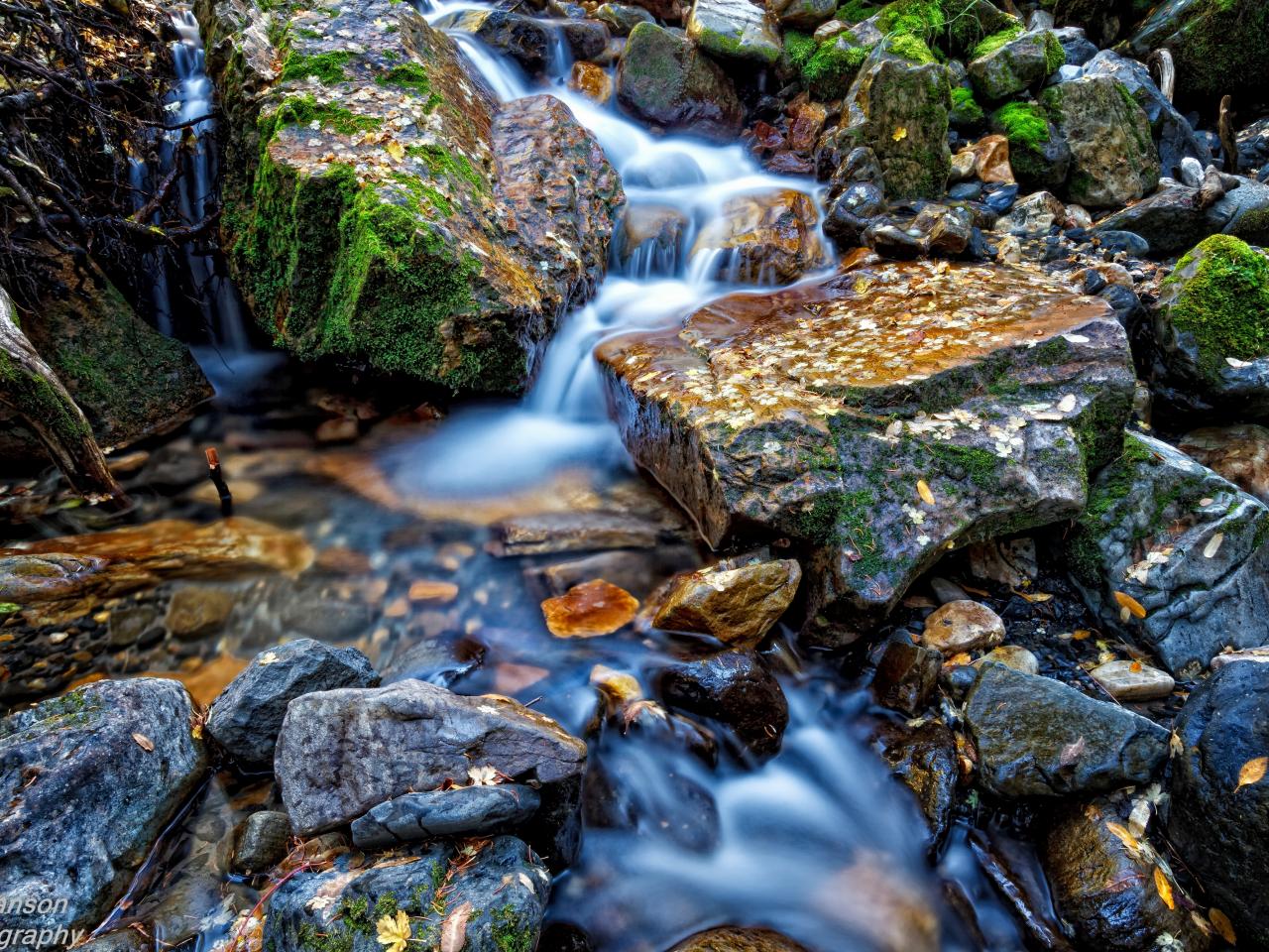 обои Осень у ручья,   мокрые камни и ручей крупным планом фото