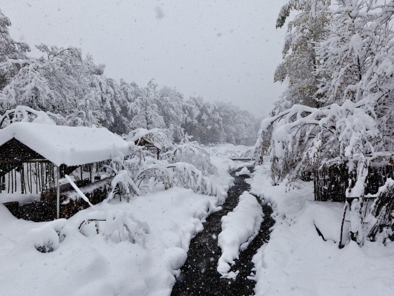 обои Зимний ручей у заснеженной постройки фото