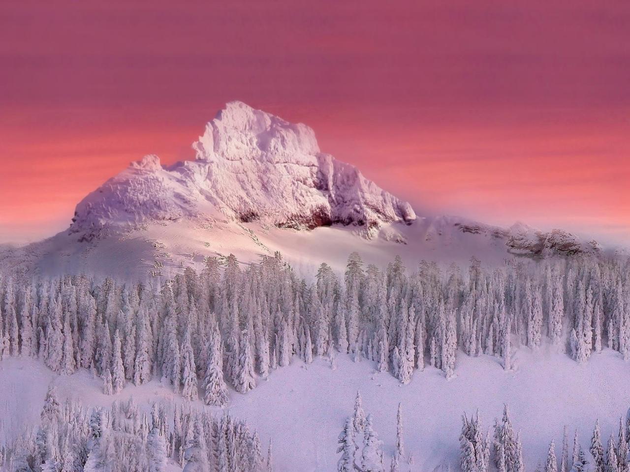 обои Снежная вершина горы в алом закате фото