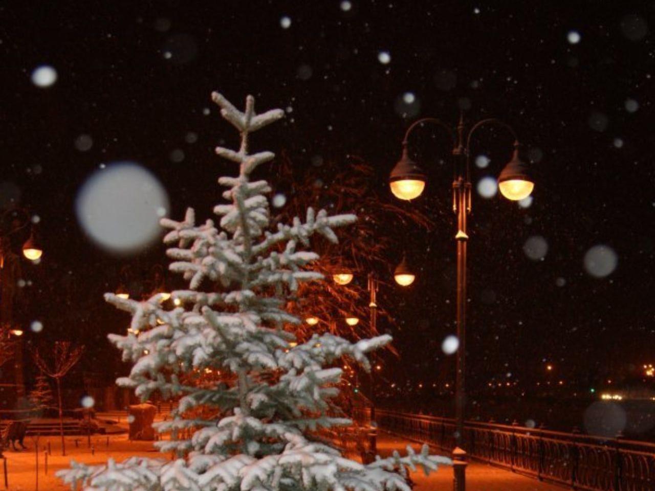обои Снег,   фонарь и ёлка фото