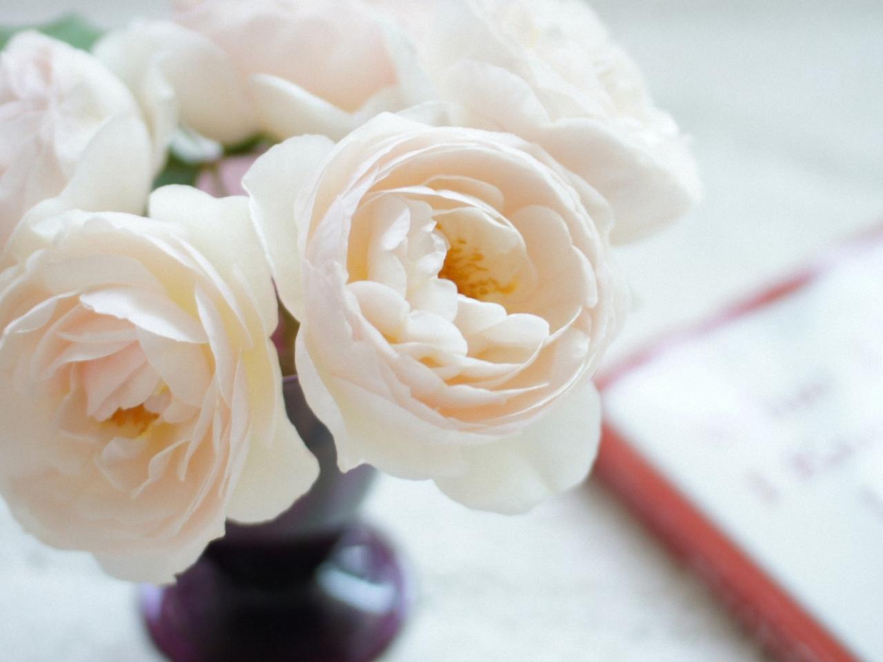 обои Букет белых роз в вазе фото
