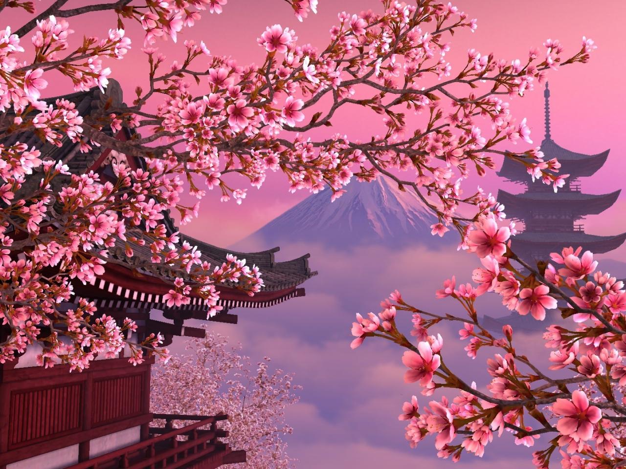 обои Красота цветущей сакуры на фоне горы фото