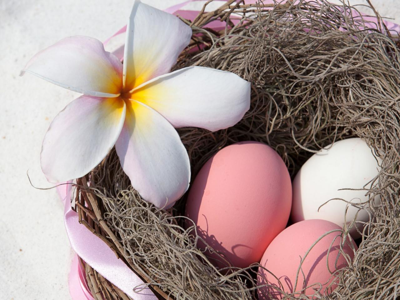 обои  Три яйца с цветком в гнезде фото