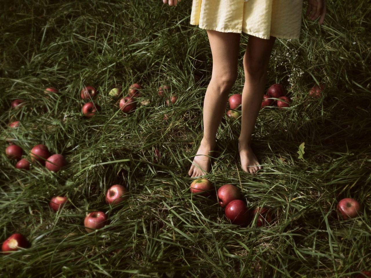 обои Рассыпанные яблоки у девичьих ног фото