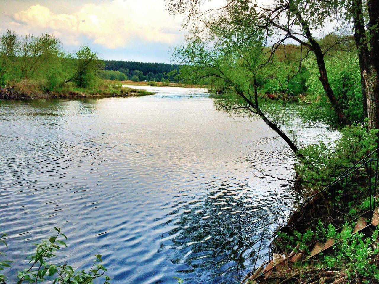 обои Река Воронеж фото