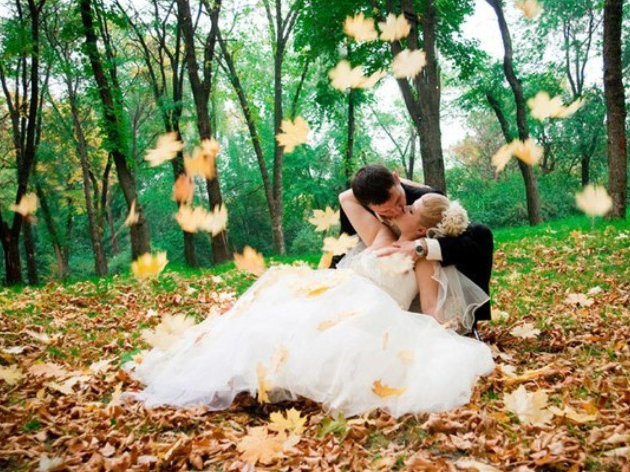 обои Осенняя свадьба фото