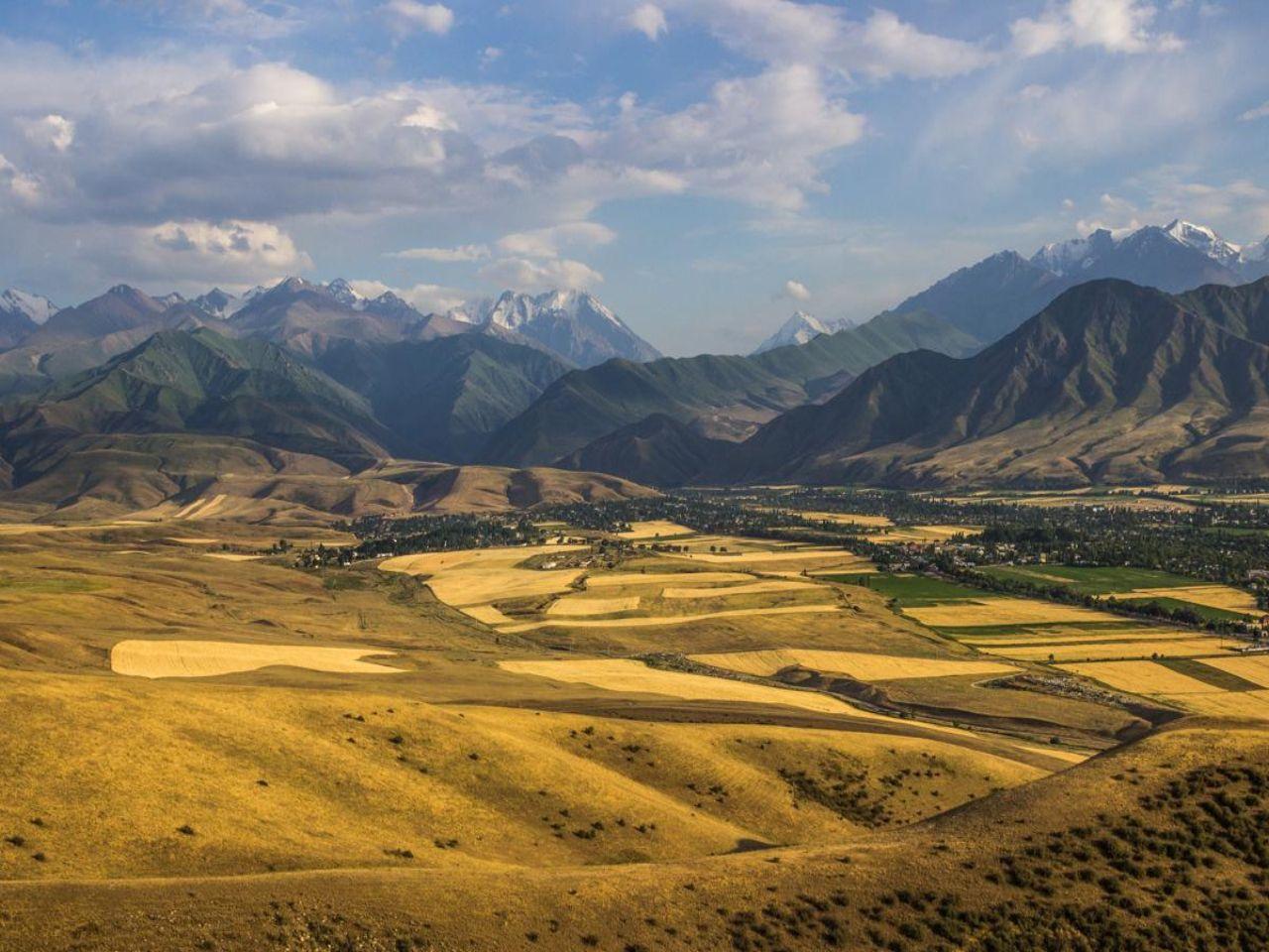 обои Поля и горы Бишкека фото