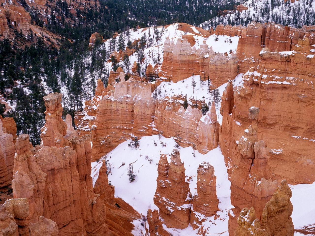 обои Snowy Bryce Canyon, Utah фото