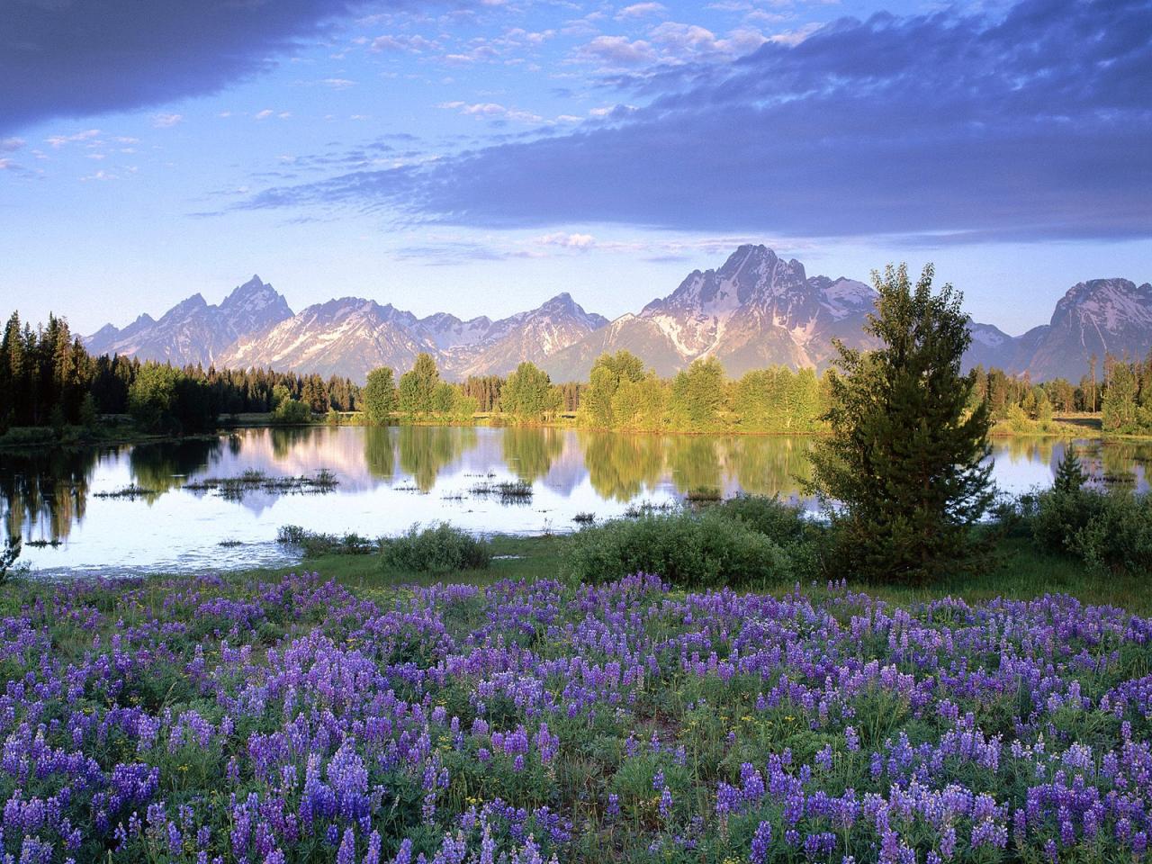 обои Teton Range in Spring, Wyoming фото