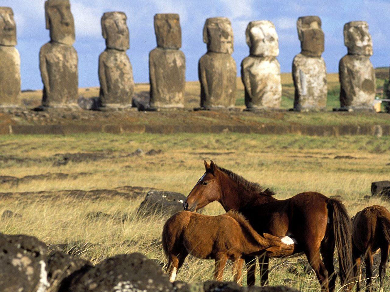 обои Horses of Easter Island - Chile фото