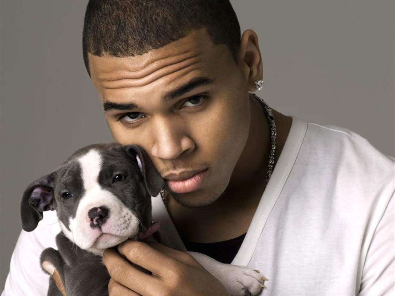 обои Chris Brown фото