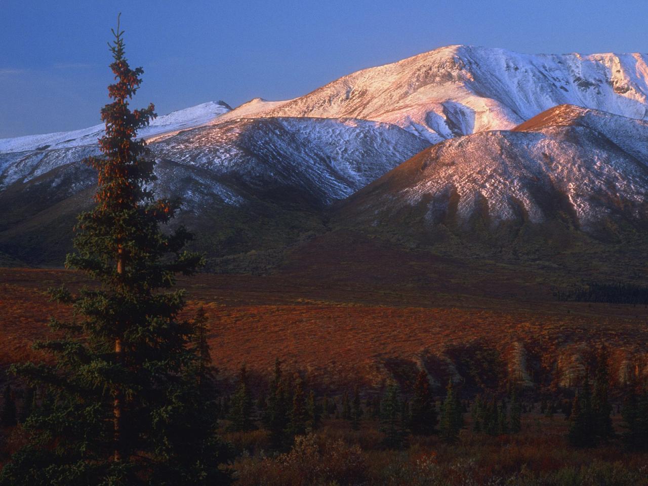 обои Denali, Alaska фото