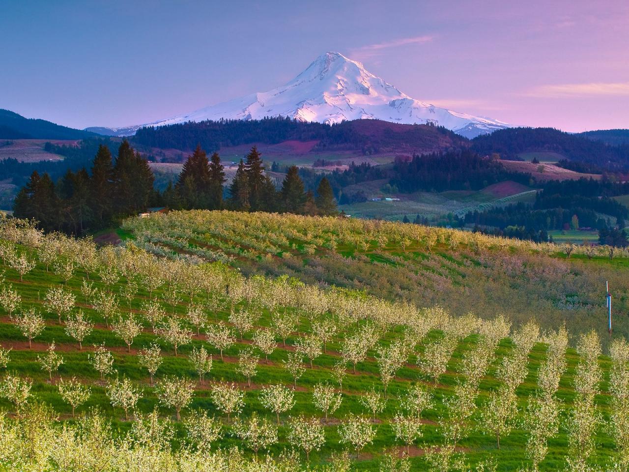 обои Hood River, Oregon фото