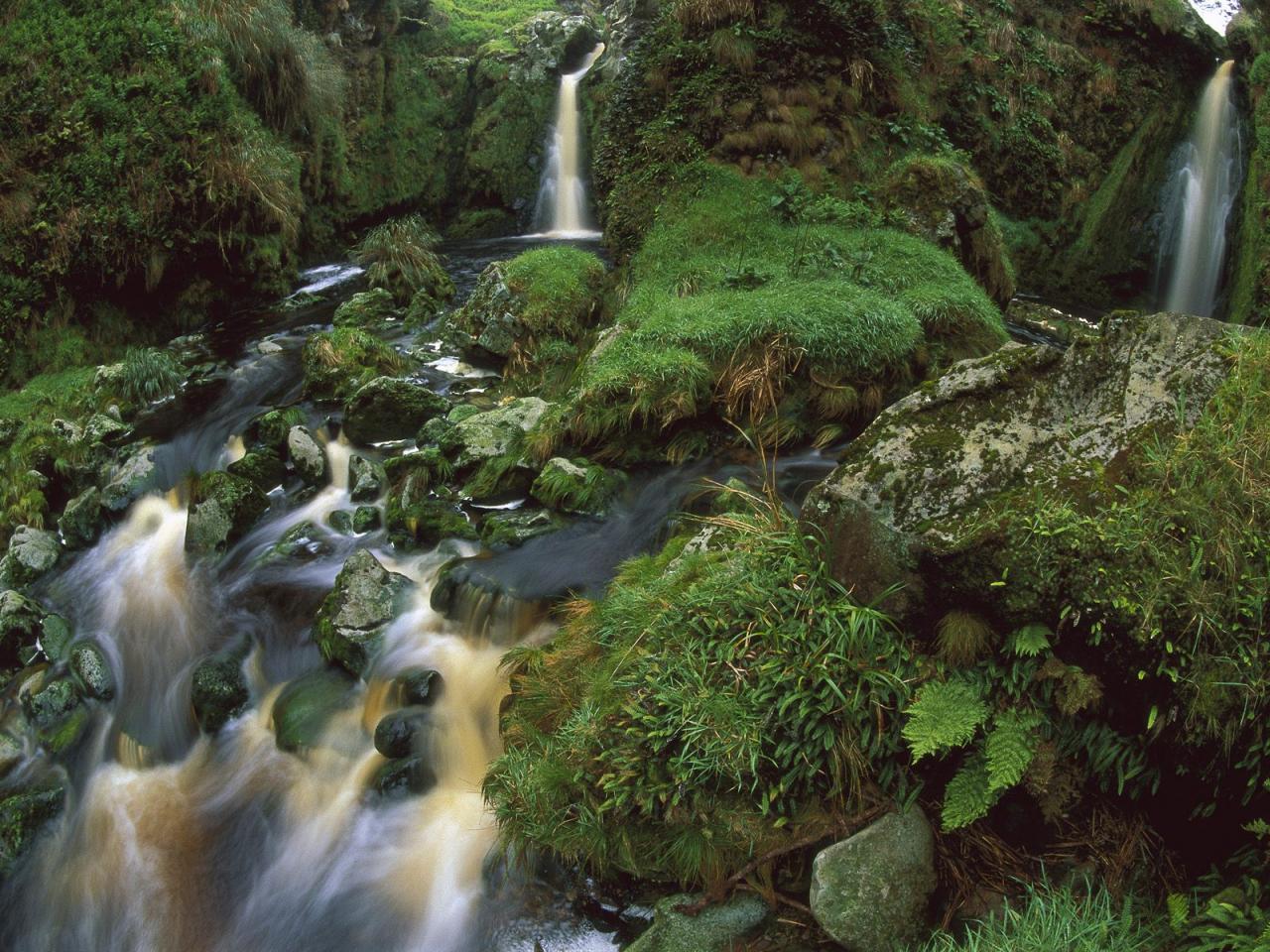 обои Cascading Waterfalls Among Ferns and Mosses, Gough Island фото