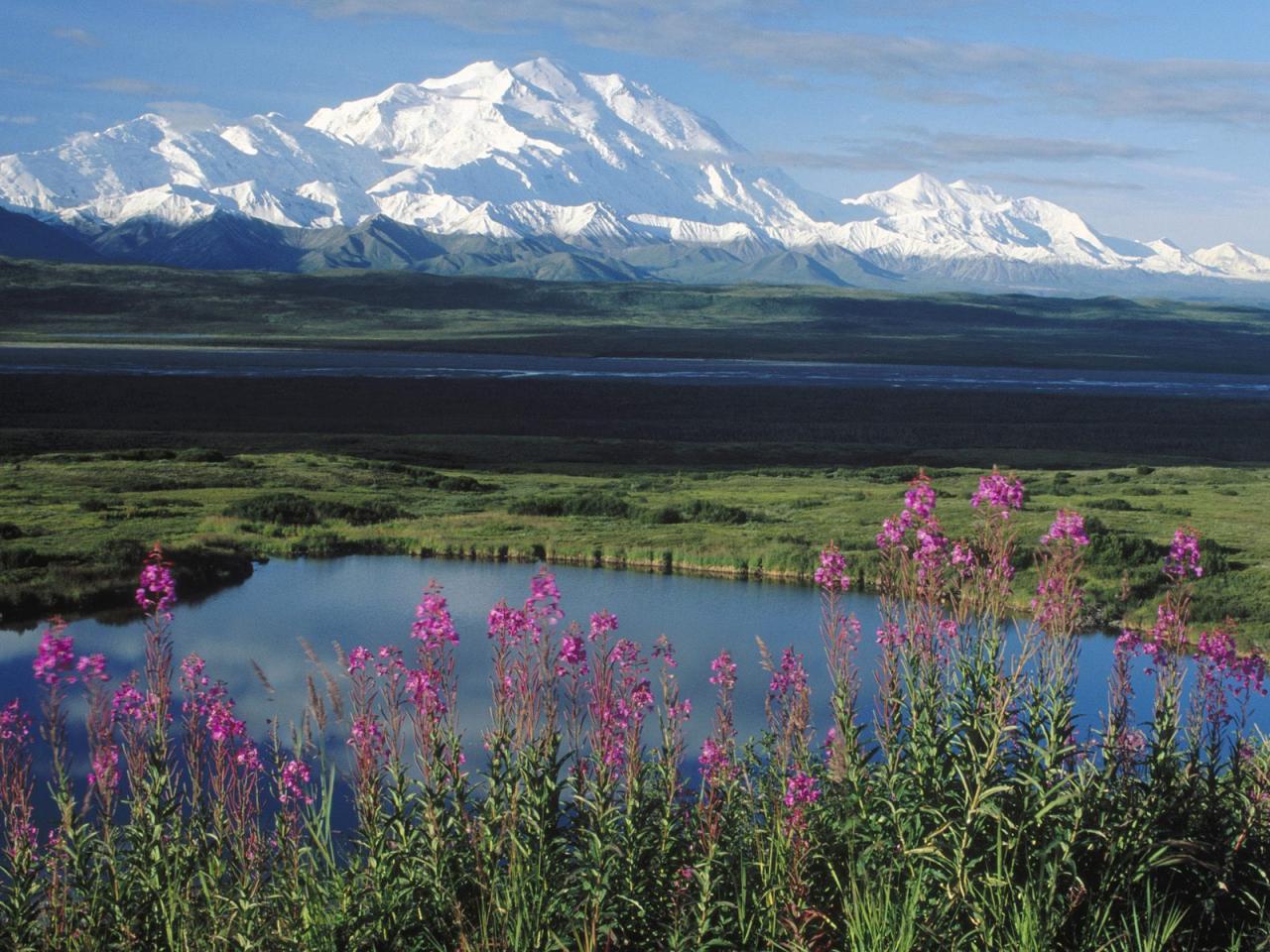 обои Mount McKinely. Denali National Park, Alaska фото