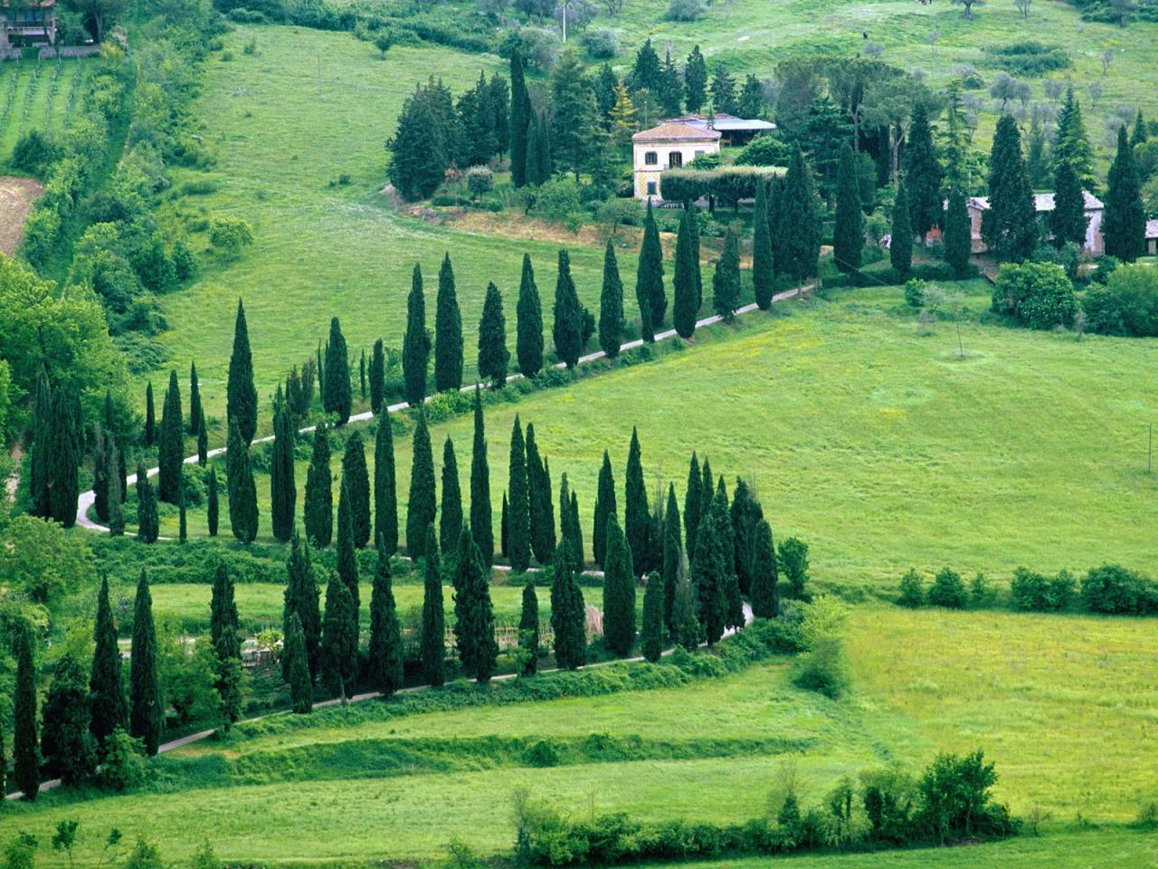 обои Scenery Near Orvieto, Umbria, Italy фото