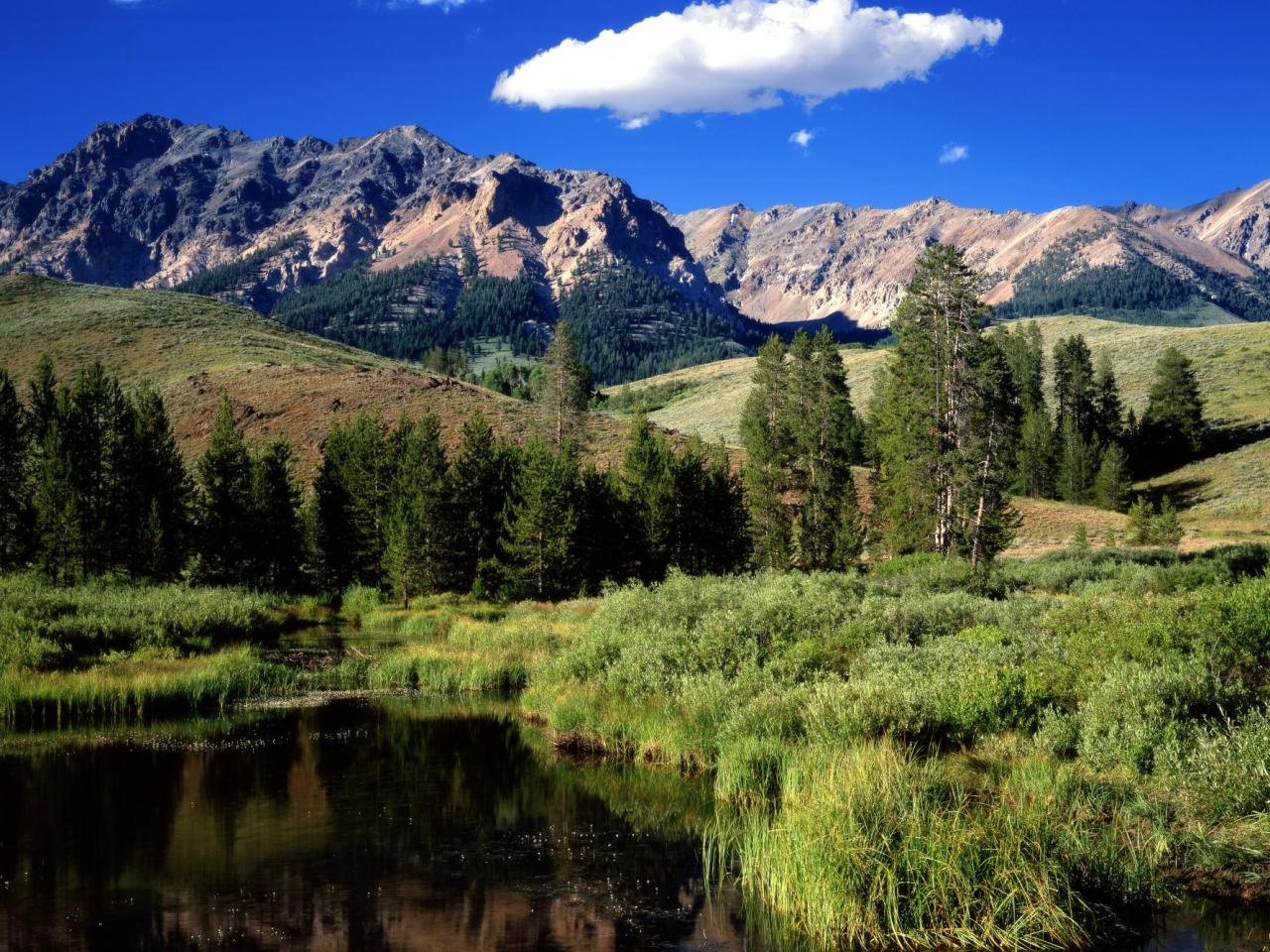 обои Reflections in Beaver Pond, Boulder Mountains, Idaho фото