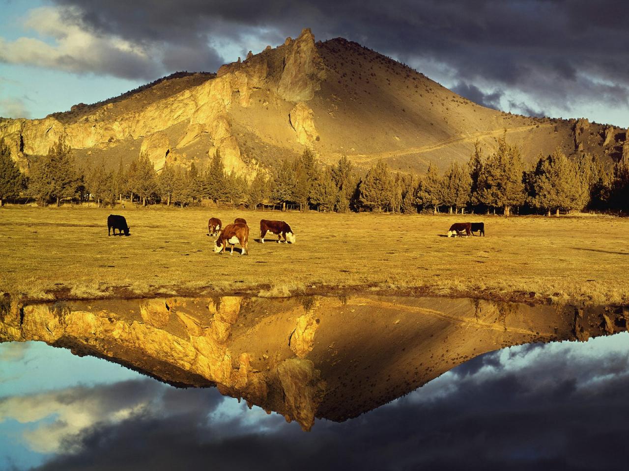 обои Mountain Reflection Near Smith Rock State Park фото