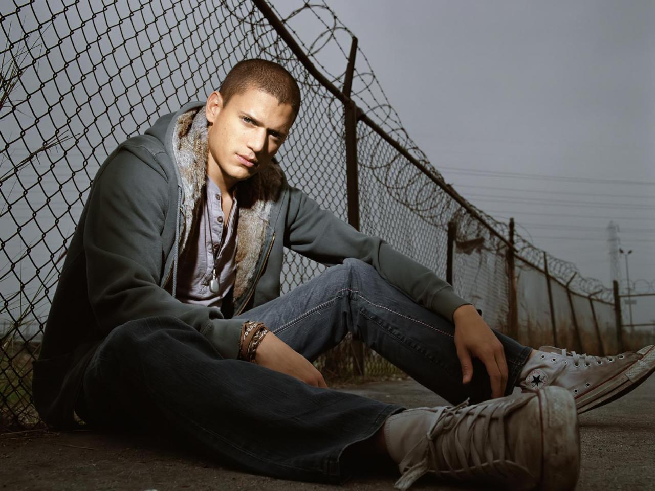 обои Wentworth Miller фото