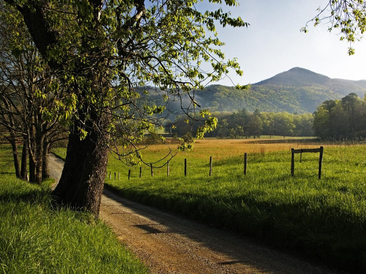 обои Hyatt Lane in Spring, Tennessee фото