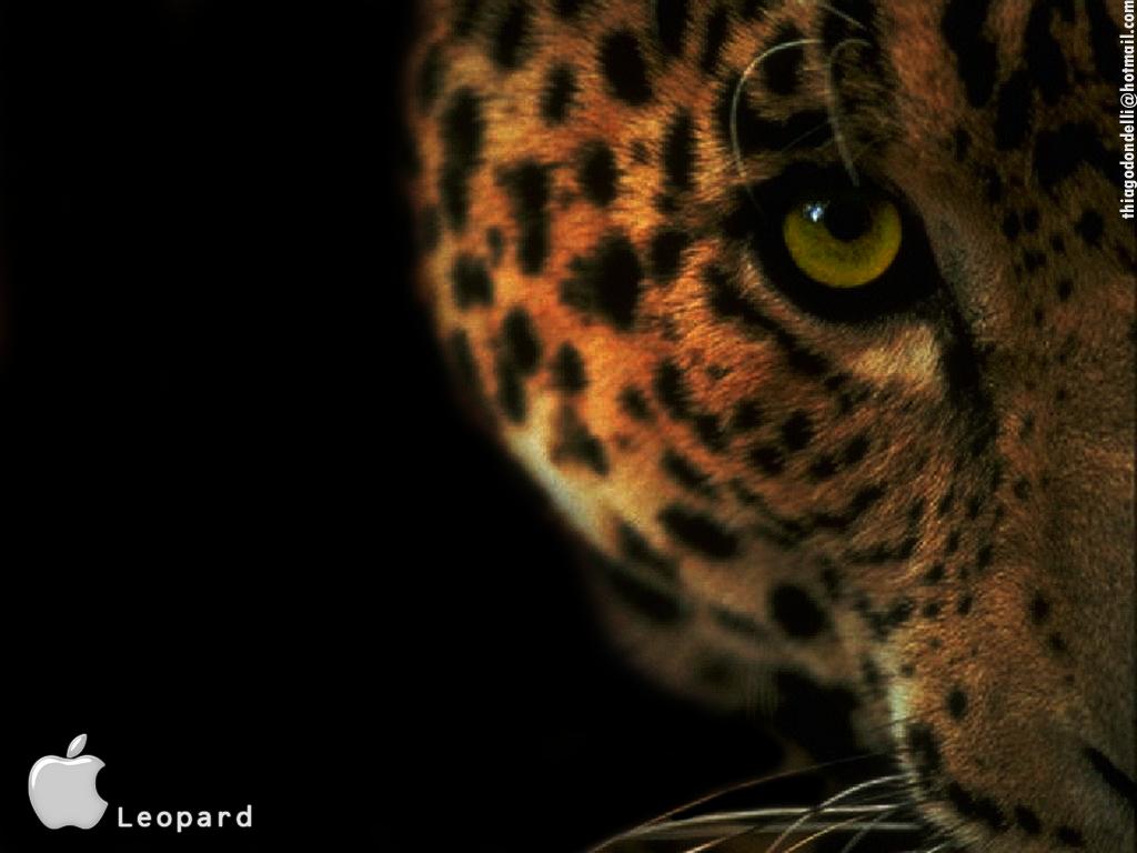обои Apple leopard фото