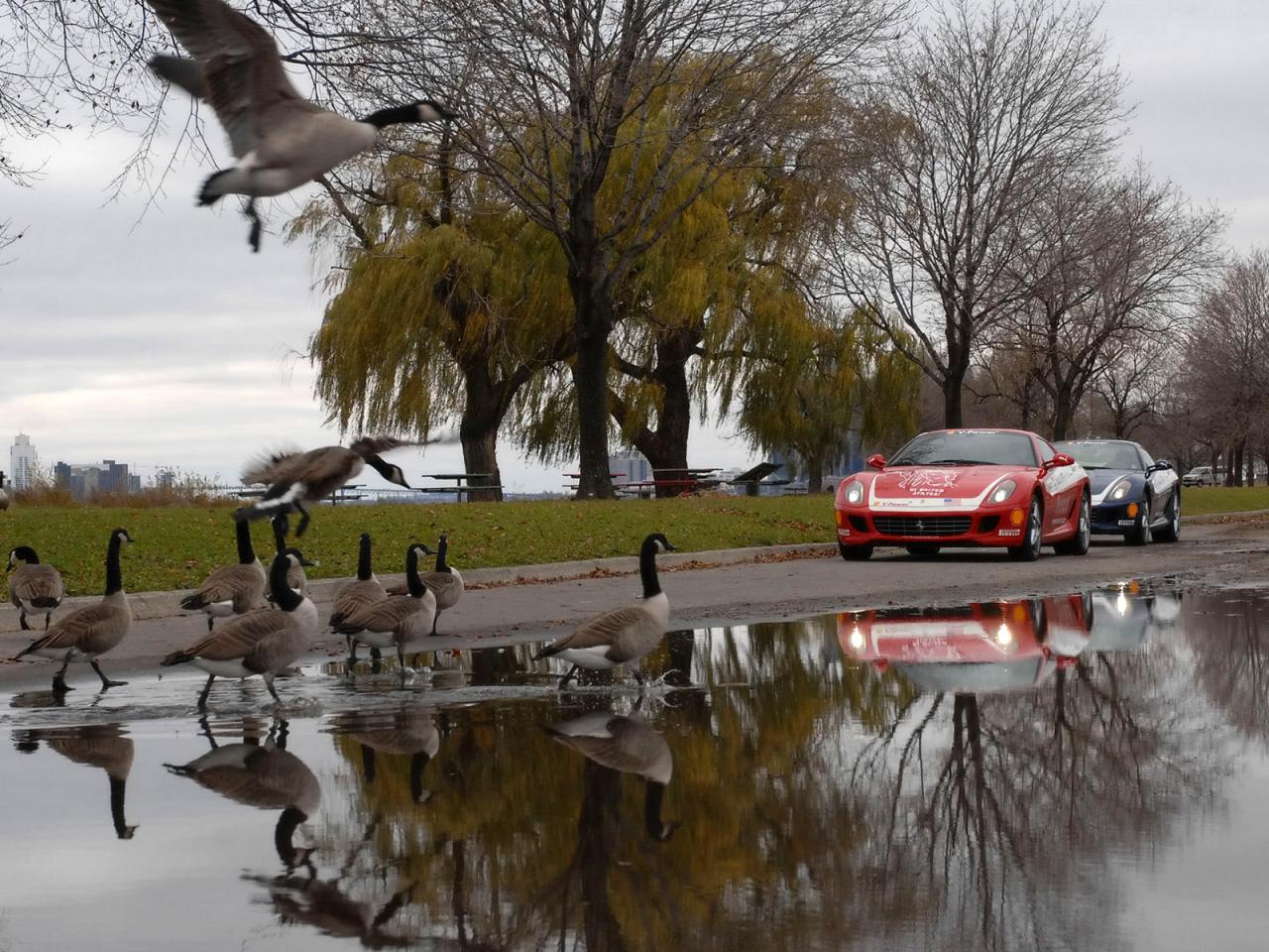 обои Ferrari on the street фото