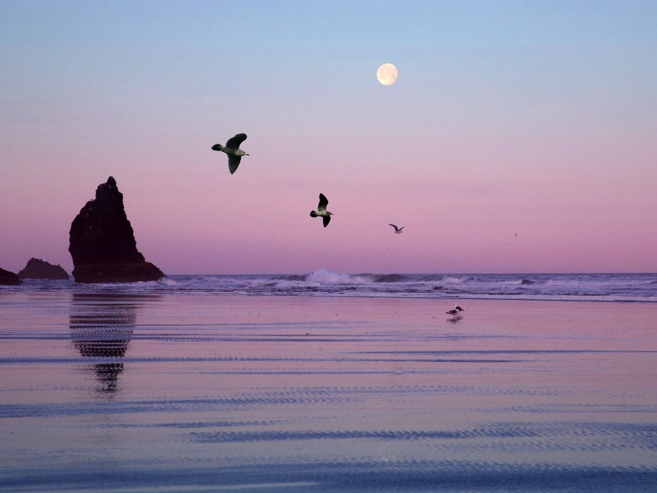 обои Cannon Beach, Oregon фото