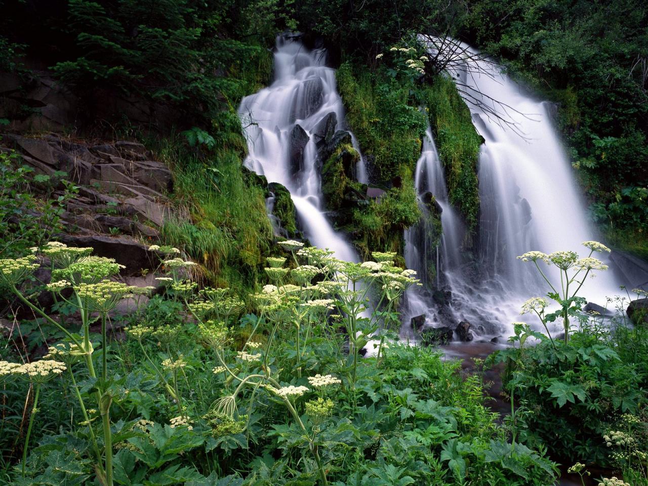 обои Cascading Waterfall, Umpqua National Forest, Oregon фото