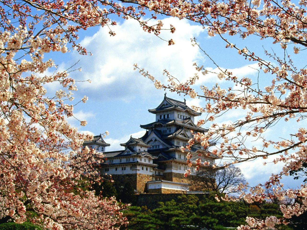 обои Himeji-jo Castle фото