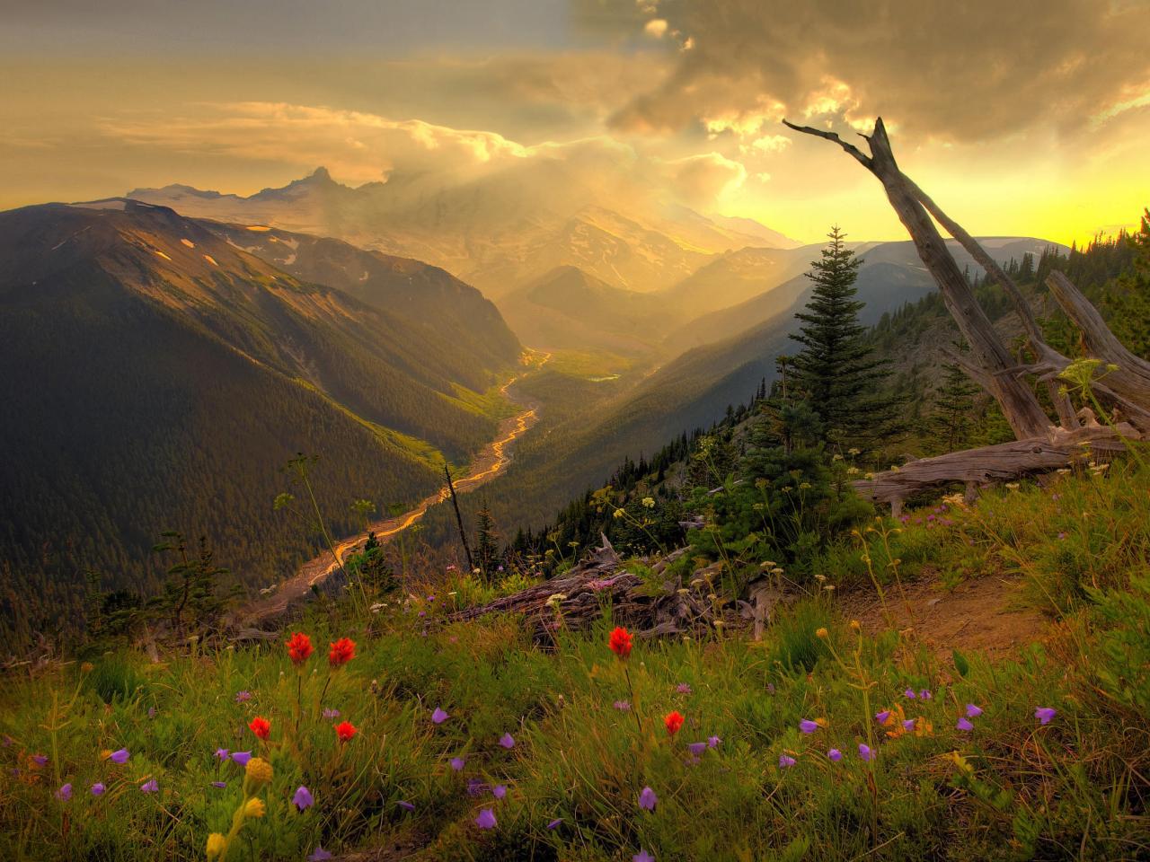 обои Breaking Sunlight, Mount Rainer, Washington фото