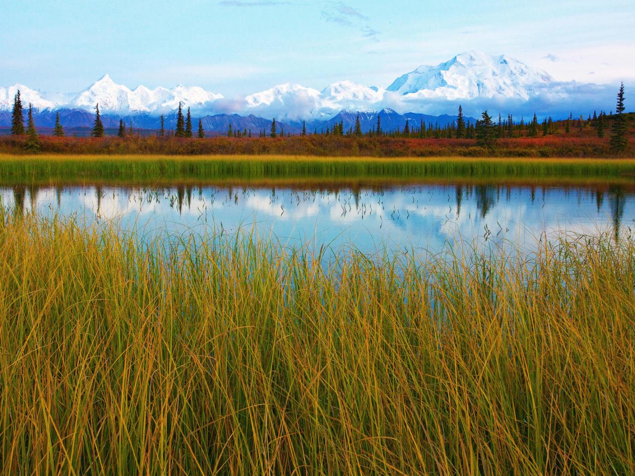 обои Calm Pond, Denali National Park, Alaska фото