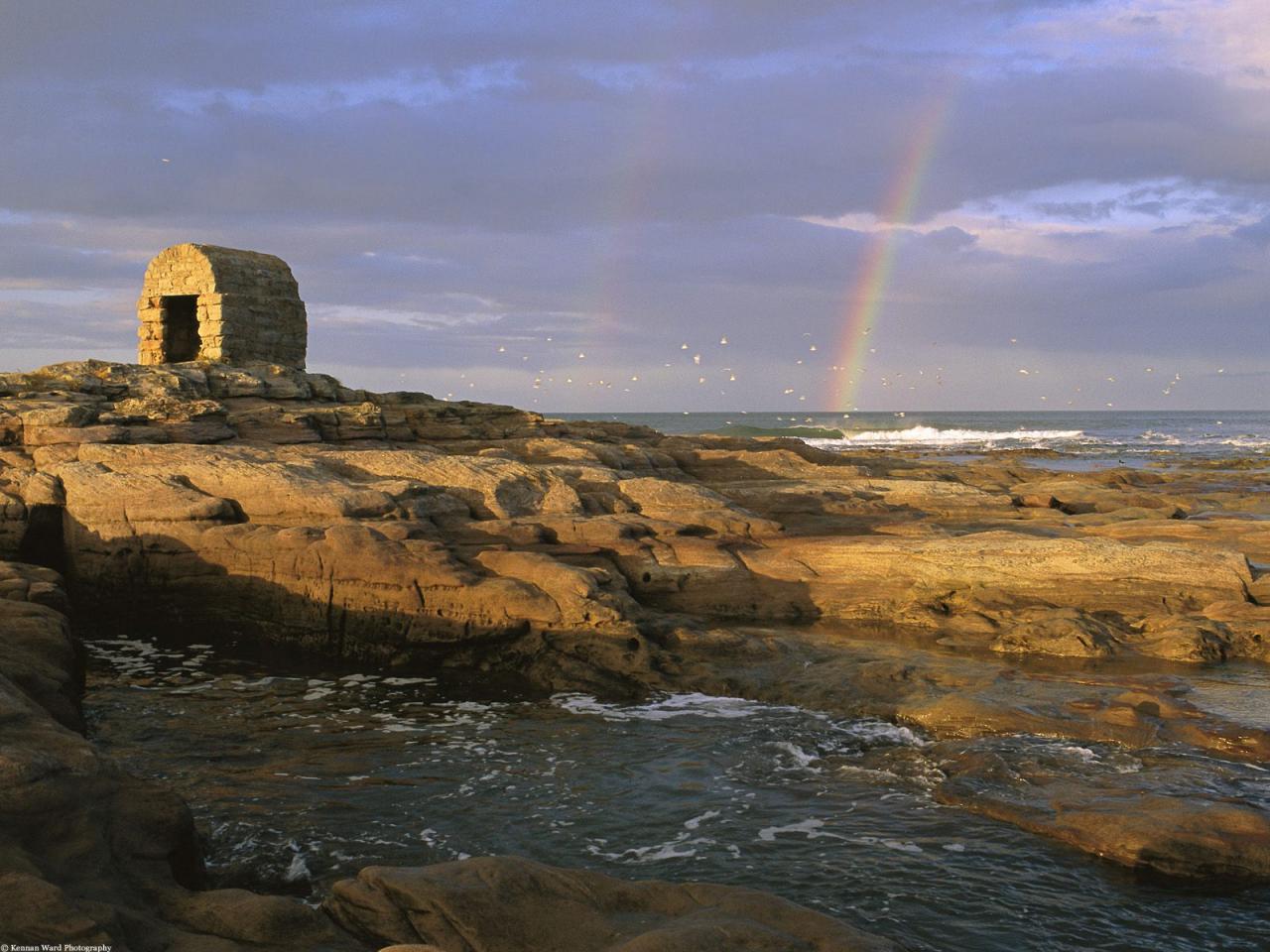 обои Coastal Rainbow, Berwick Upon Tweed, Scotland фото