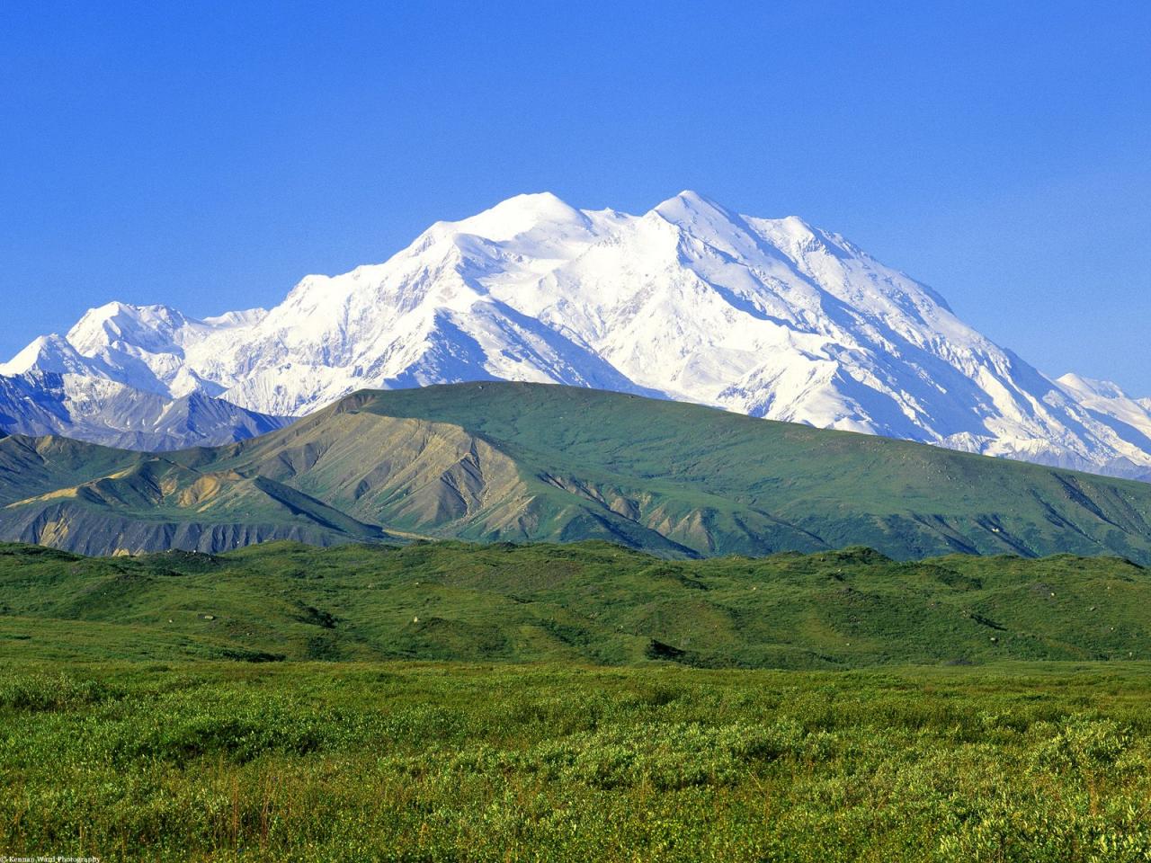 обои Cold Peak, Denali National Park, Alaska фото