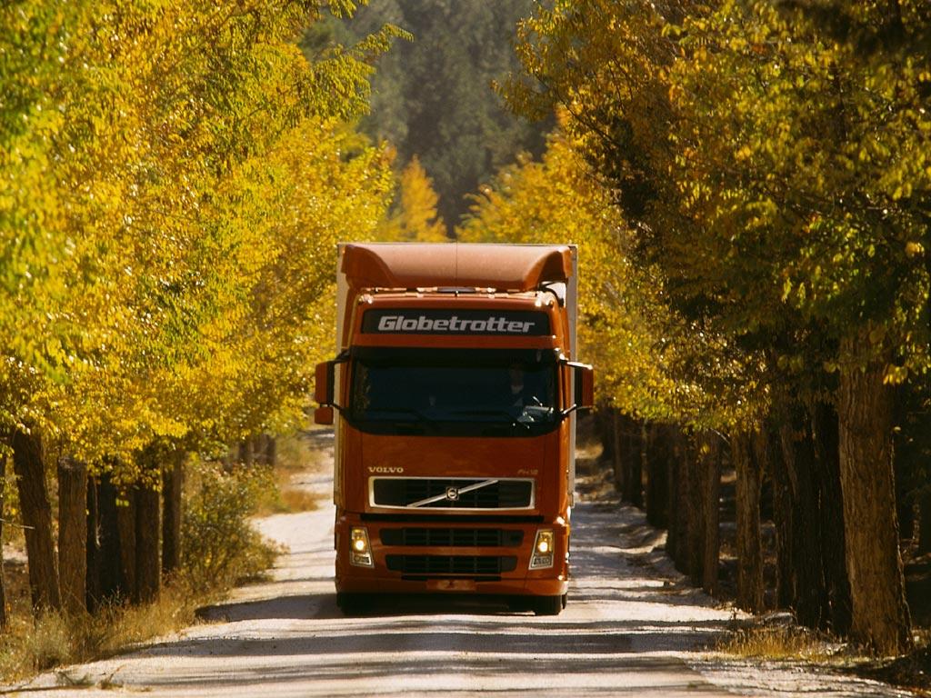 обои Volvo среди деревьев фото