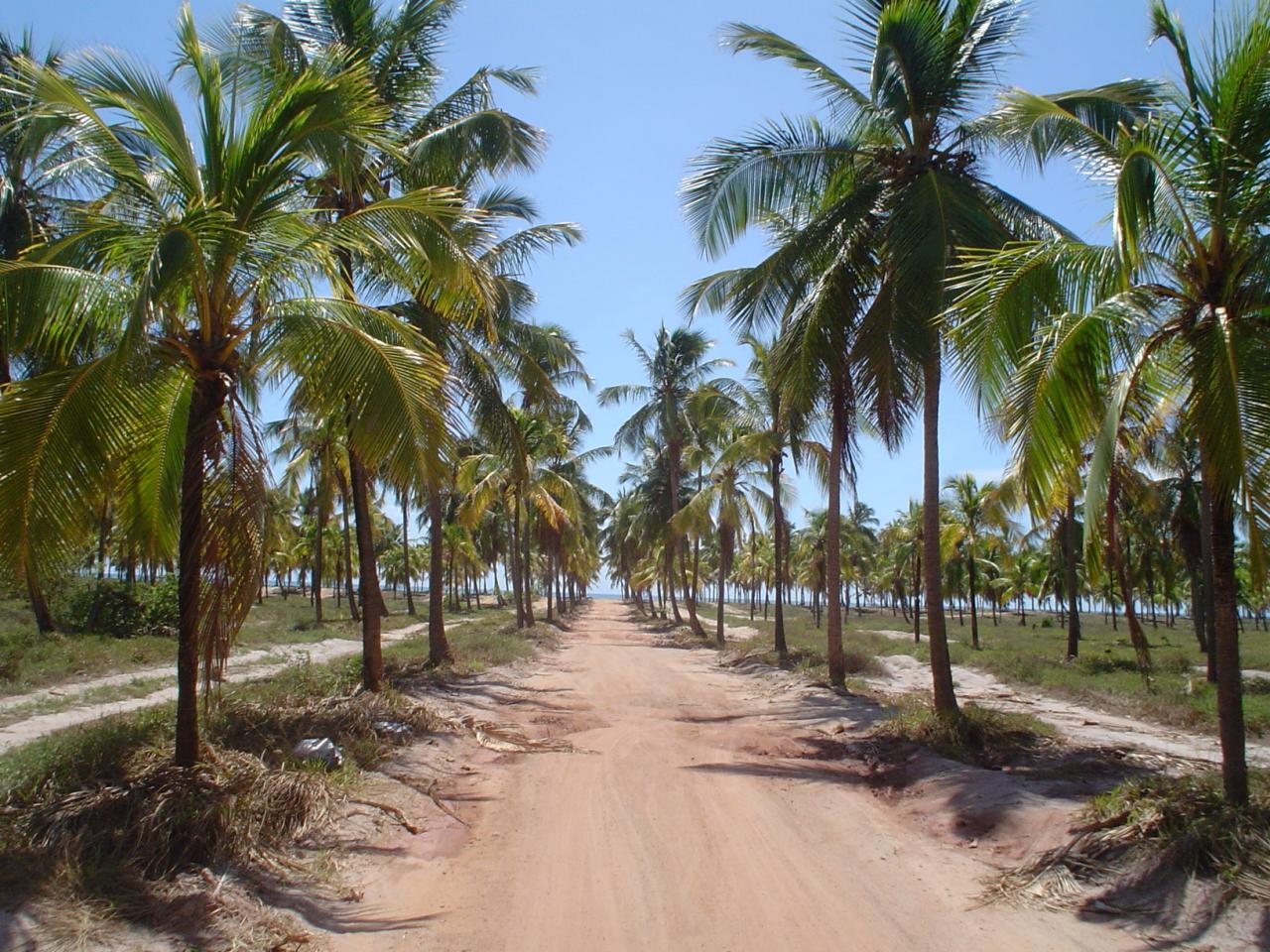 обои Beach in northeastern Brazil фото