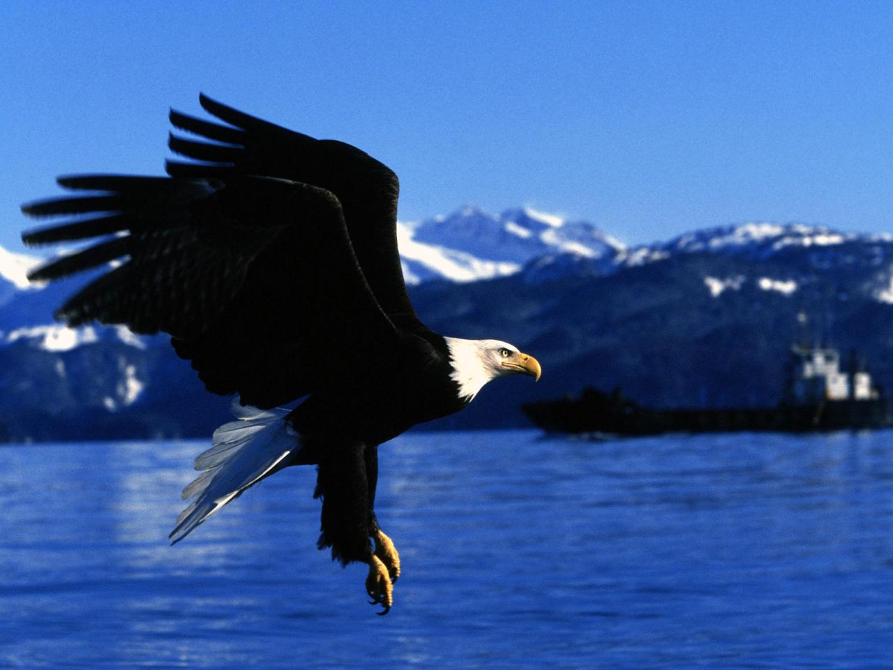 обои Easy Landing, Alaska фото