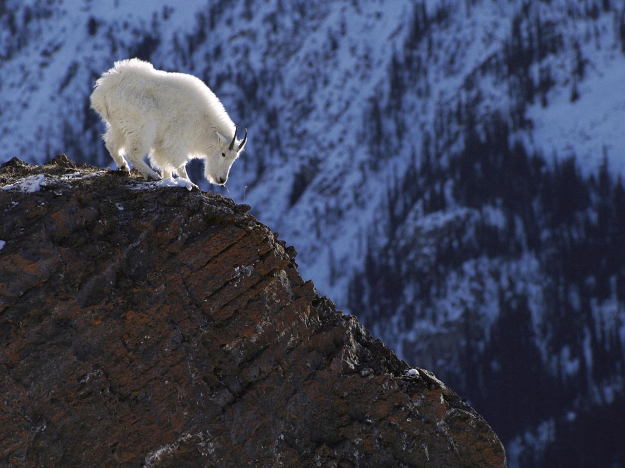 обои Long Way Down, Rocky Mountains, Colorado фото