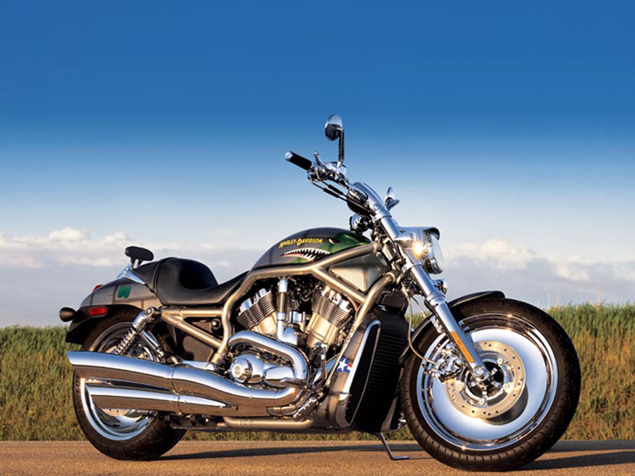 обои Harley-davidson фото