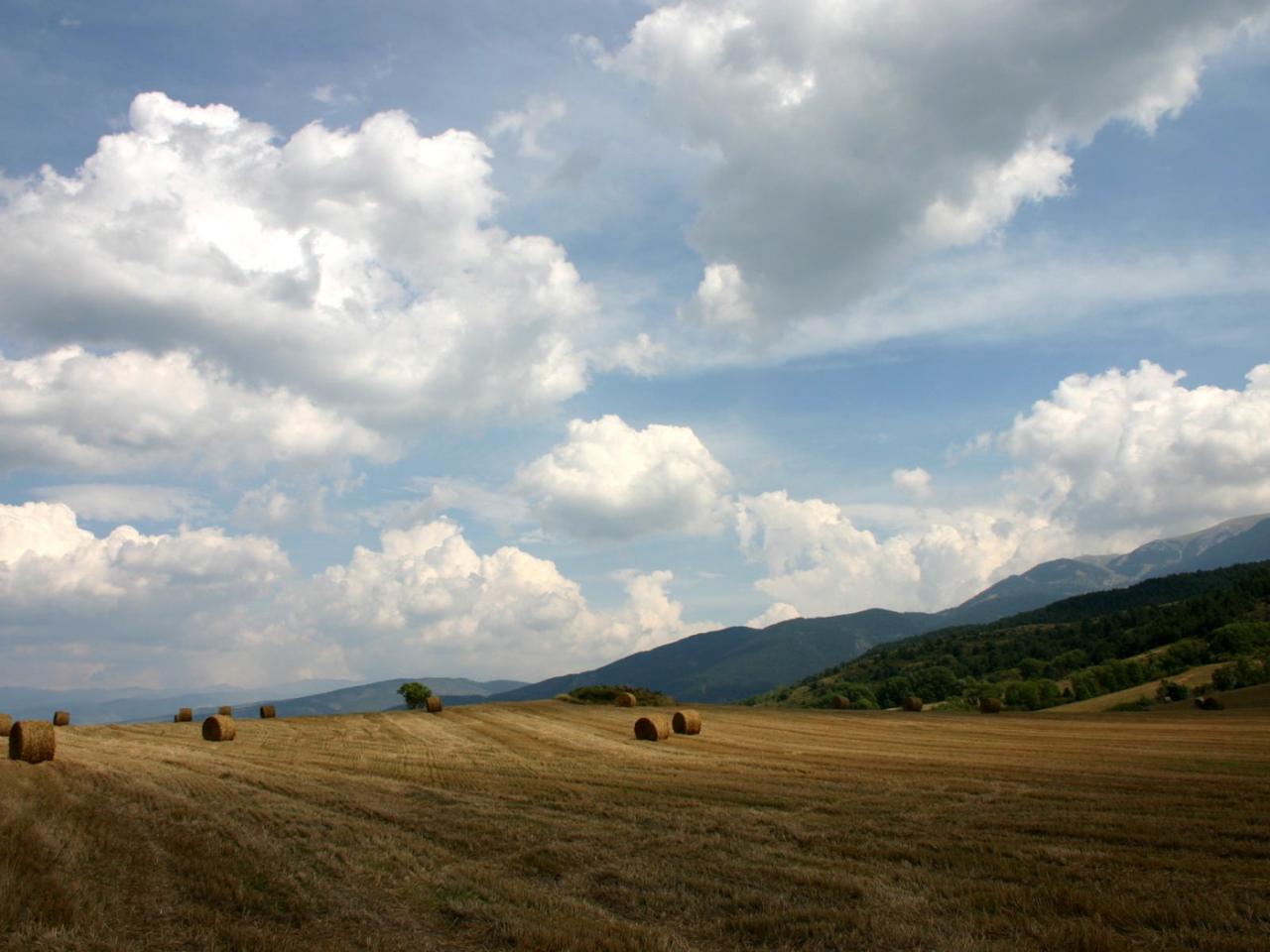 обои Стоги сена фото